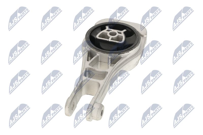 Paigutus, Mootor, NTY ZPS-PL-079