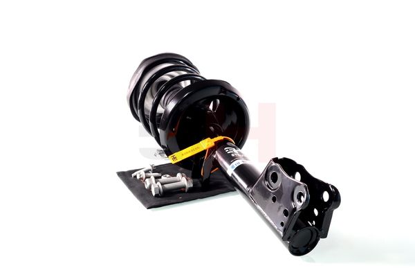 Vedruamort, GH GH-353364C01