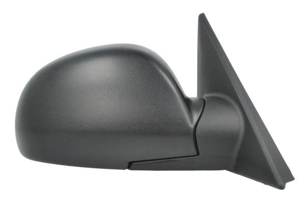 BLIC 5402-04-1115575P Exterior Mirror