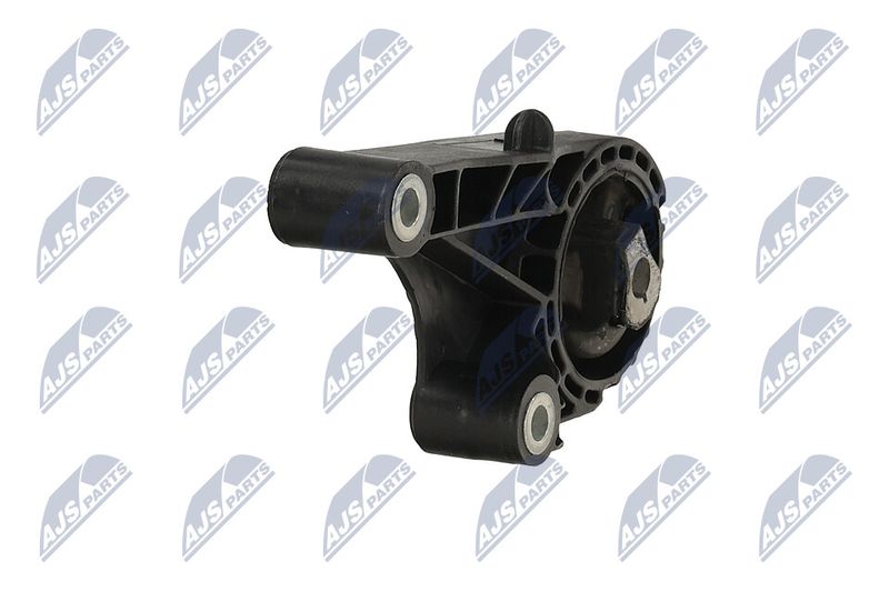 Paigutus, Mootor, NTY ZPS-PL-090