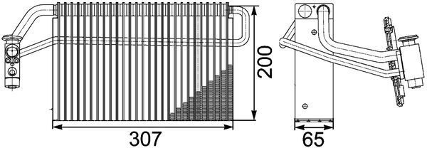 293605637.JPG
