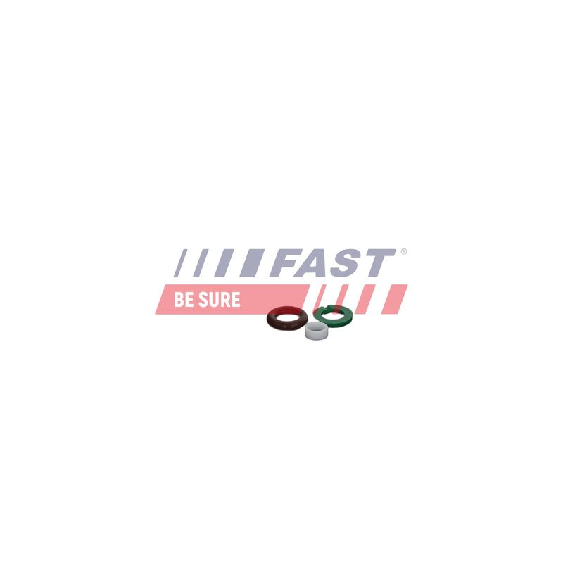 FAST FT01835 Repair Kit, unit injector