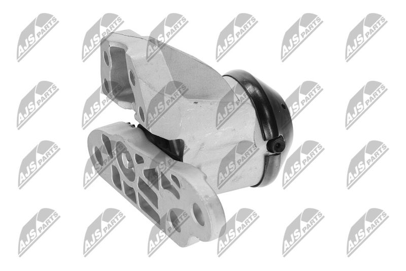 Paigutus, Mootor, NTY ZPS-FR-053