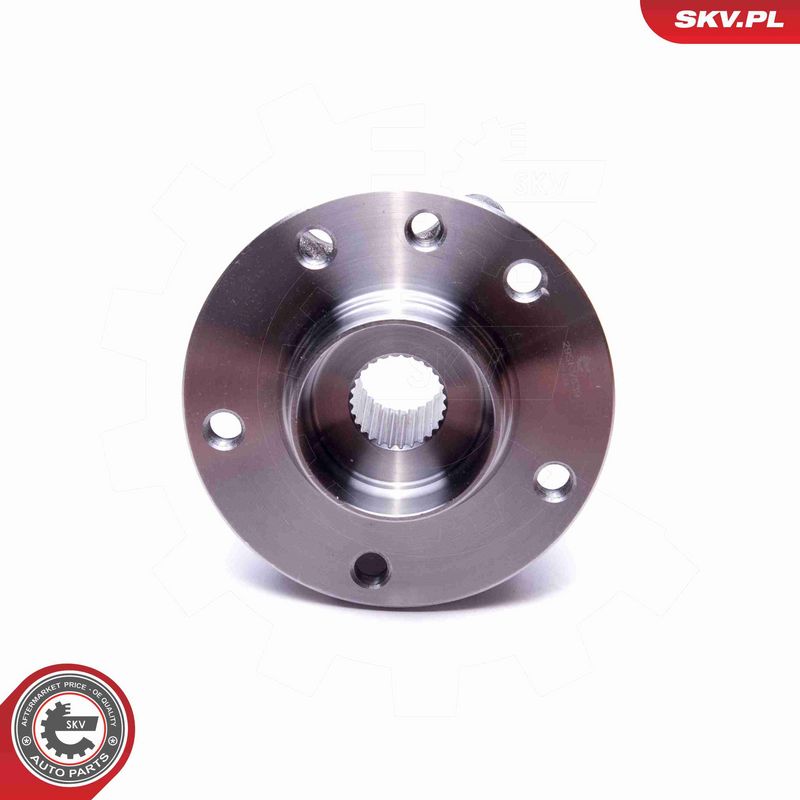 ESEN SKV 29SKV539 Wheel Bearing Kit