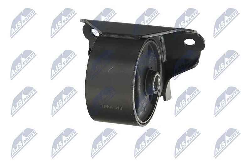 Paigutus, Mootor, NTY ZPS-KA-313