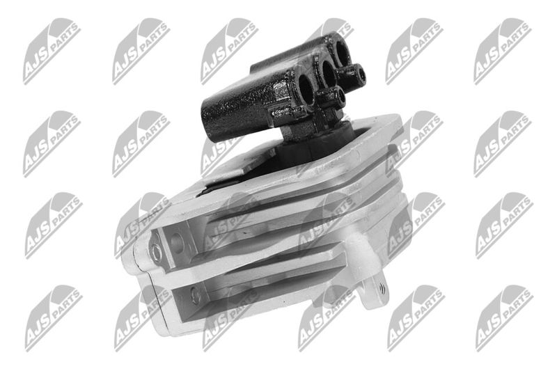 Paigutus, Mootor, NTY ZPS-CH-103