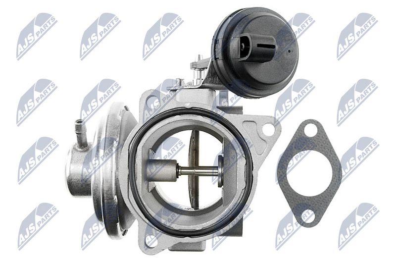 EGR-klapp, NTY EGR-WW-011