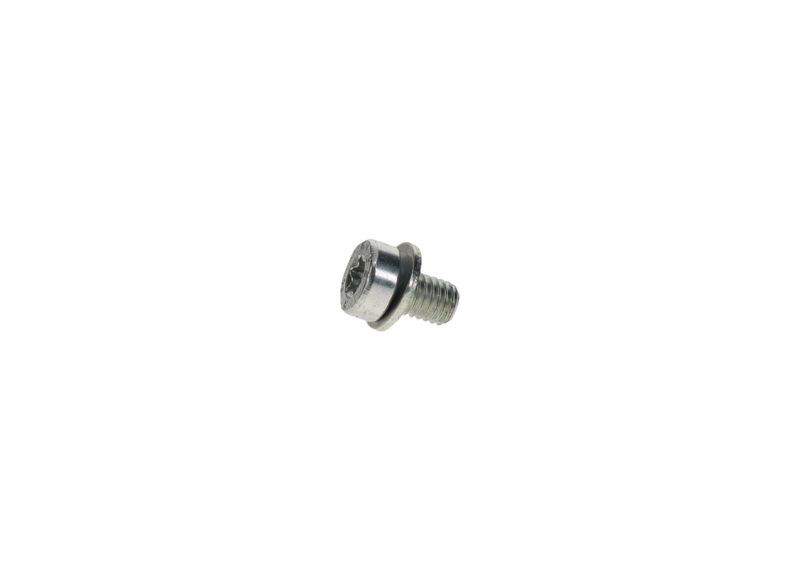 BOSCH F002D13663 Screw