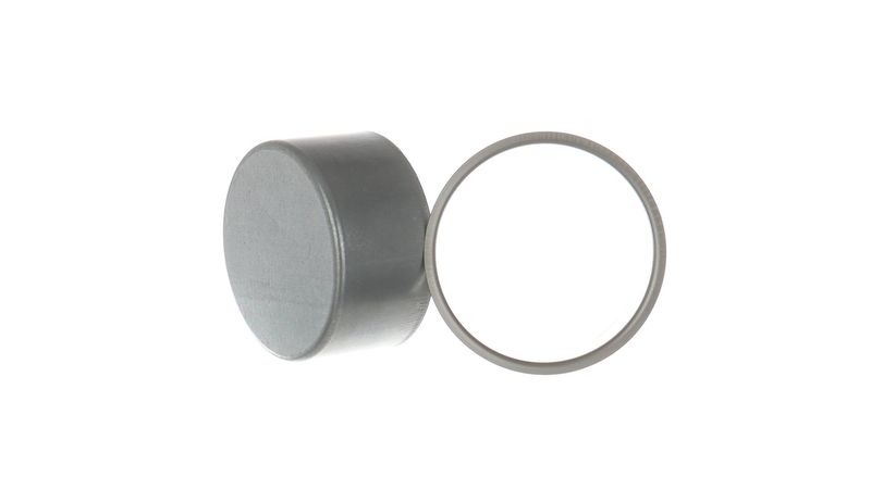 SKF 99300 Įvorė