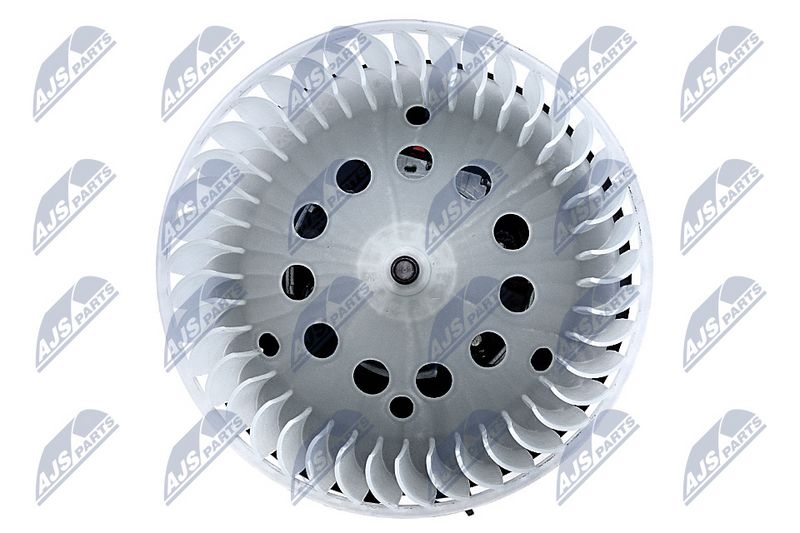 Salongipuhur, NTY EWN-RE-008