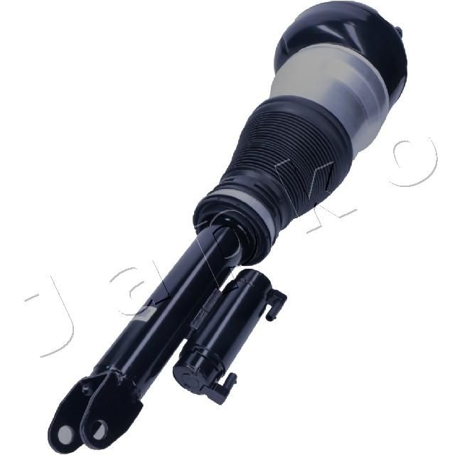 MJAS260_2.JPG