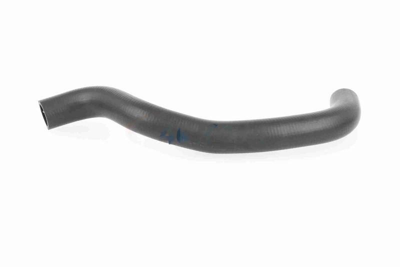 ACKOJA A26-1606 Radiator Hose