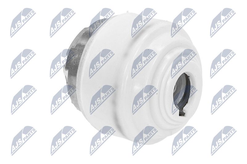 Paigutus, Mootor, NTY ZPS-ME-099