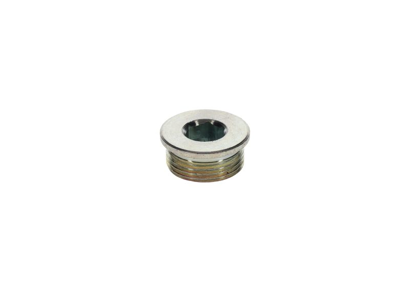 Surub 1 423 462 099 BOSCH