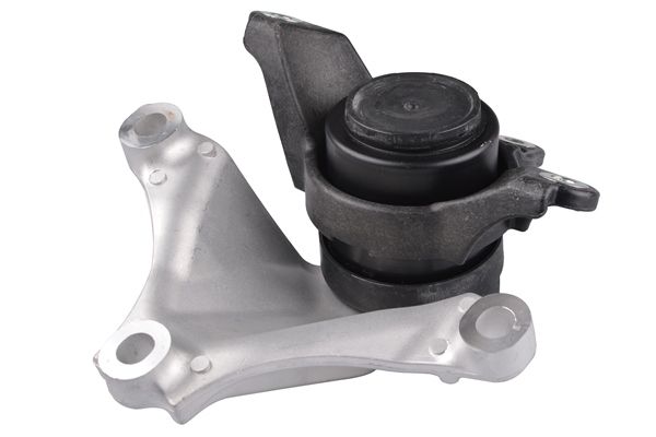 TEDGUM TED79880 Mounting, engine