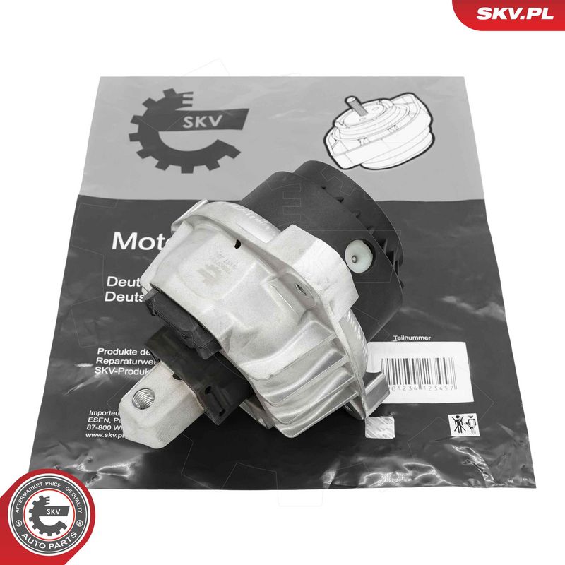 Paigutus, Mootor, ESEN SKV...