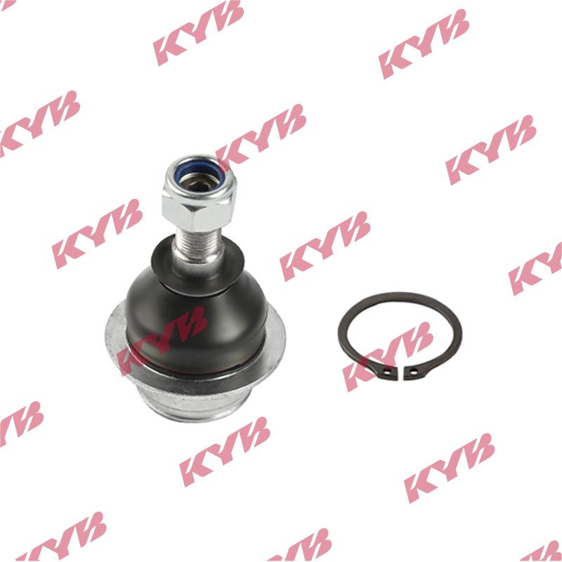 KYB-KBJ4006.JPG