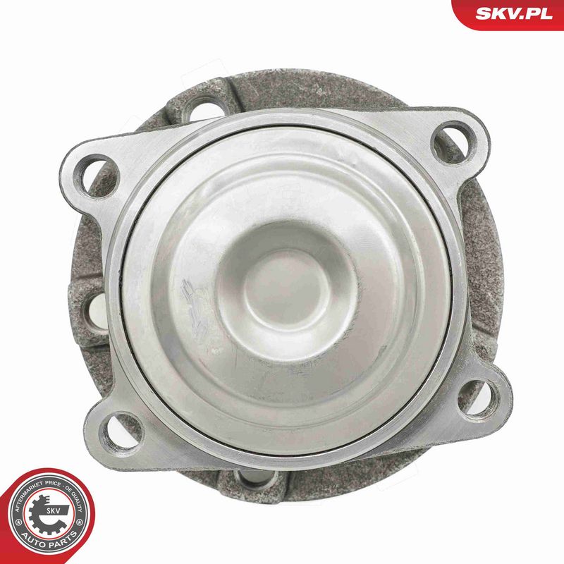 ESEN SKV 29SKV609 Wheel Bearing Kit