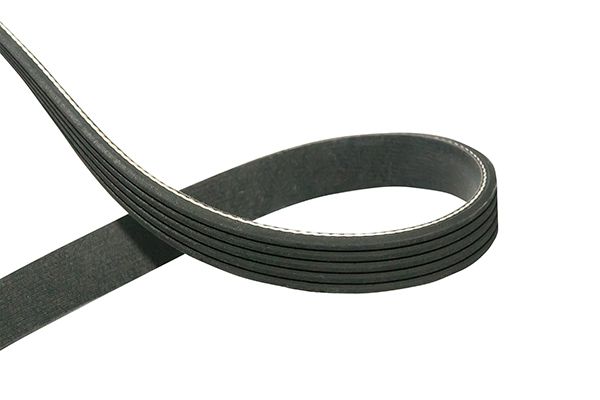 Kavo Parts Поликлиновой ремень