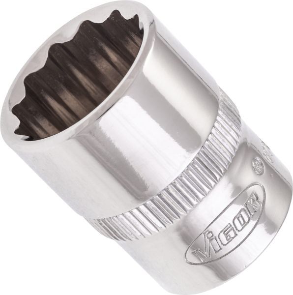 Padrun, VIGOR V7538-16