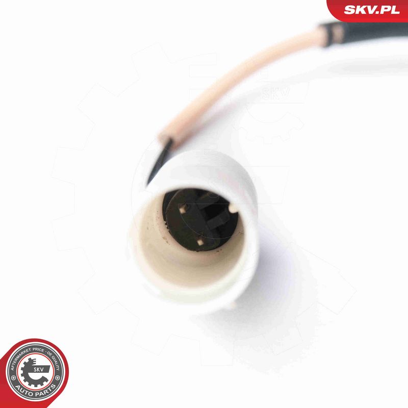 ESEN SKV 06SKV231 ABS daviklis