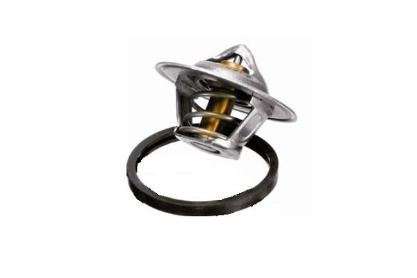 ASAM AUTOMOTIVE 34074 - Termostatas