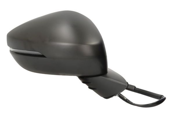 BLIC 5402-12-2501311P Exterior Mirror
