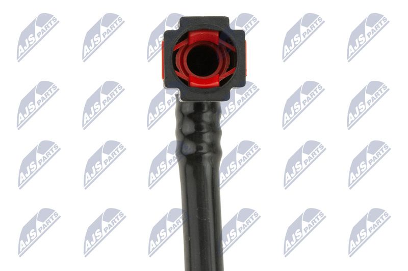 BPP-VC-001_4-WM.JPG