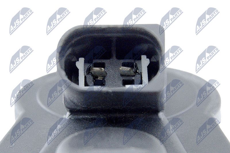 hzt-vw-069_5-wm.JPG