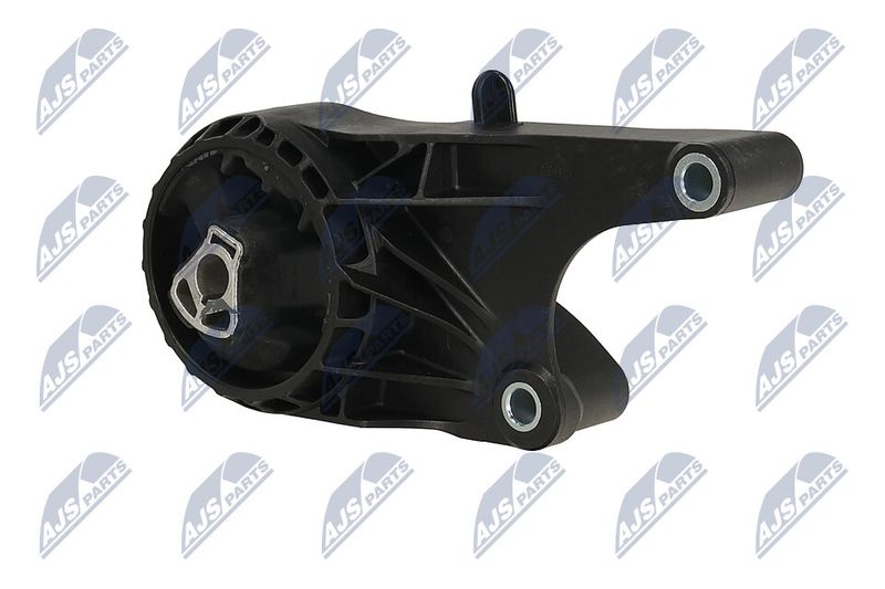 Paigutus, Mootor, NTY ZPS-PL-058