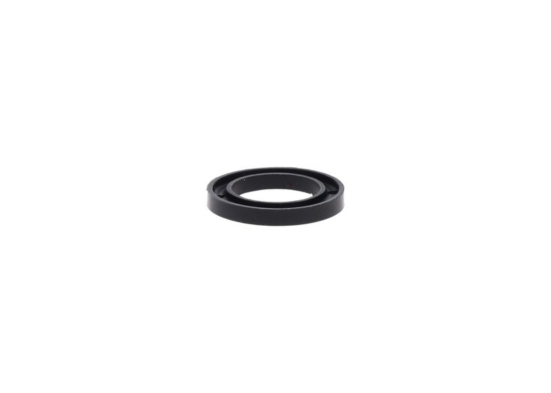 Garnitura 2 430 290 002 BOSCH