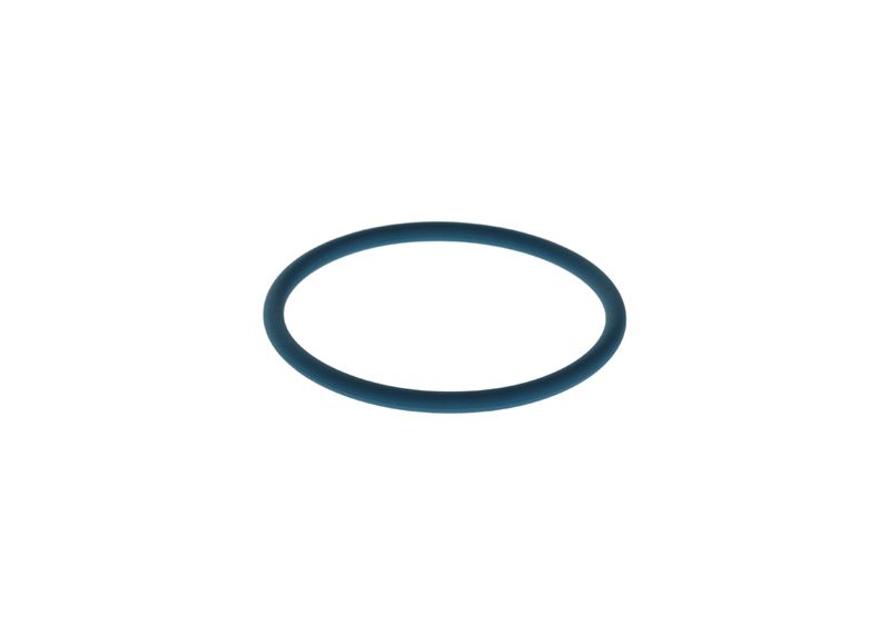 Inel cauciuc F 00N 204 108 BOSCH