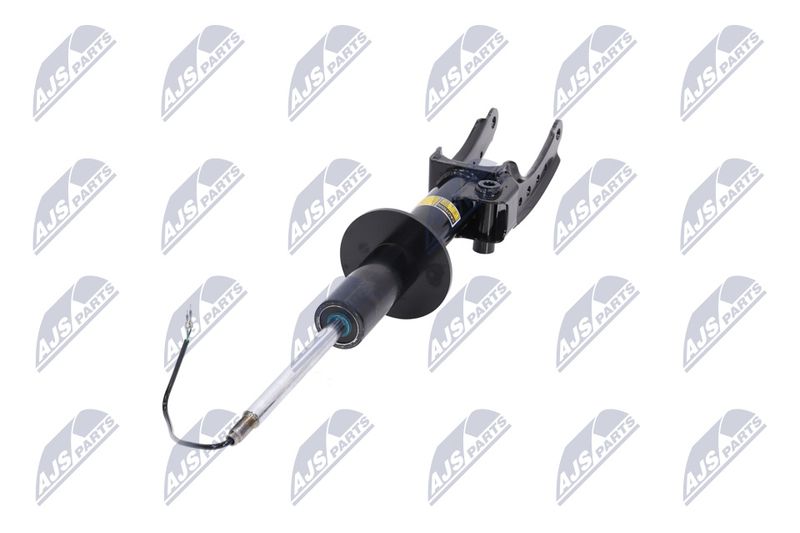 Amort, NTY A-PS-015