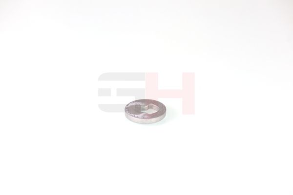 caster shim, sillatala, GH GH-391582