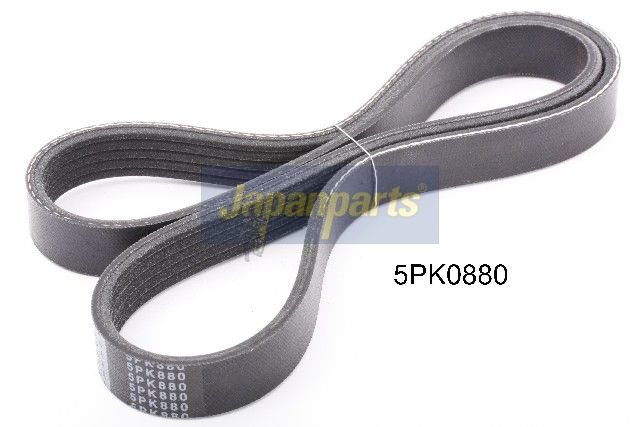 Correa trapecial poli V