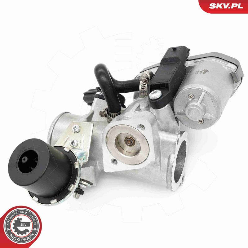 ESEN SKV 14SKV256 EGR Valve