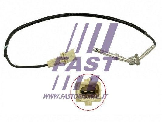 FT80235_1_1.JPG