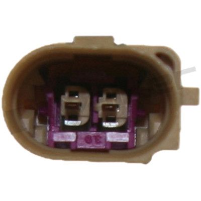 273-20381_4.JPG