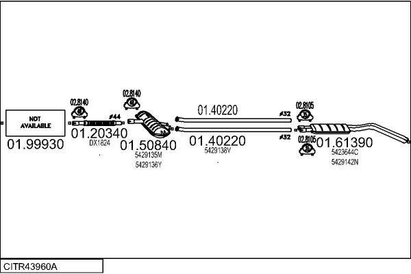 CITR43960A.JPG