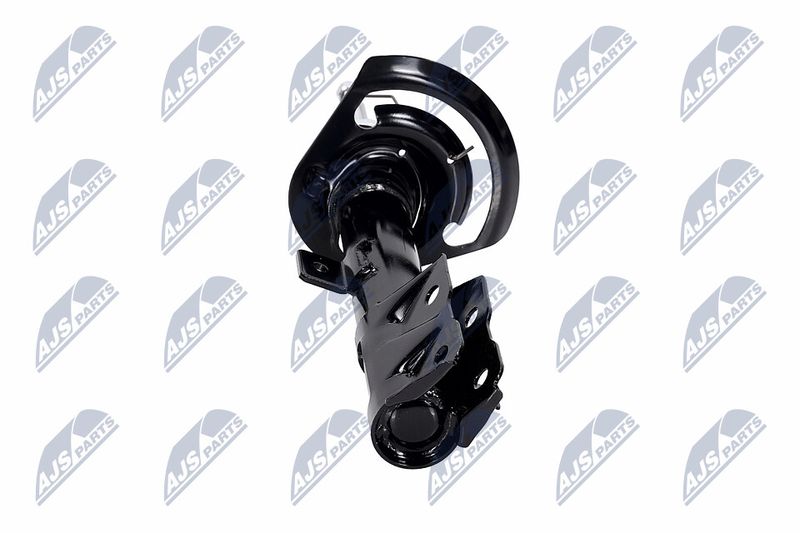Amort, NTY A-CH-057
