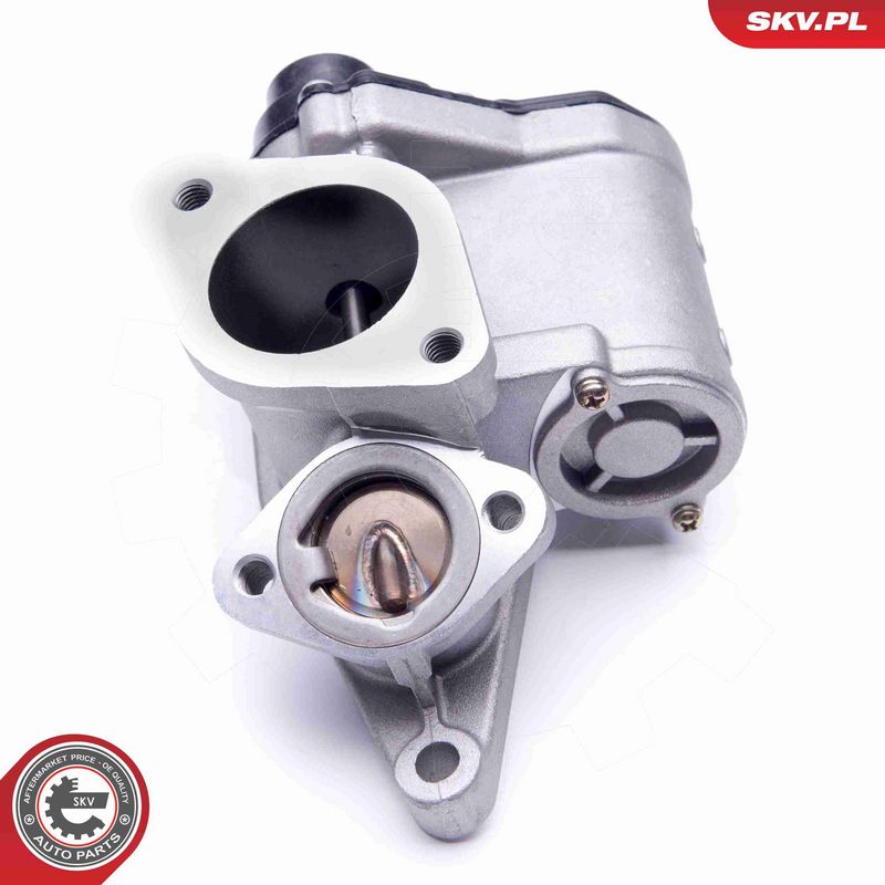 ESEN SKV 14SKV168 EGR Valve