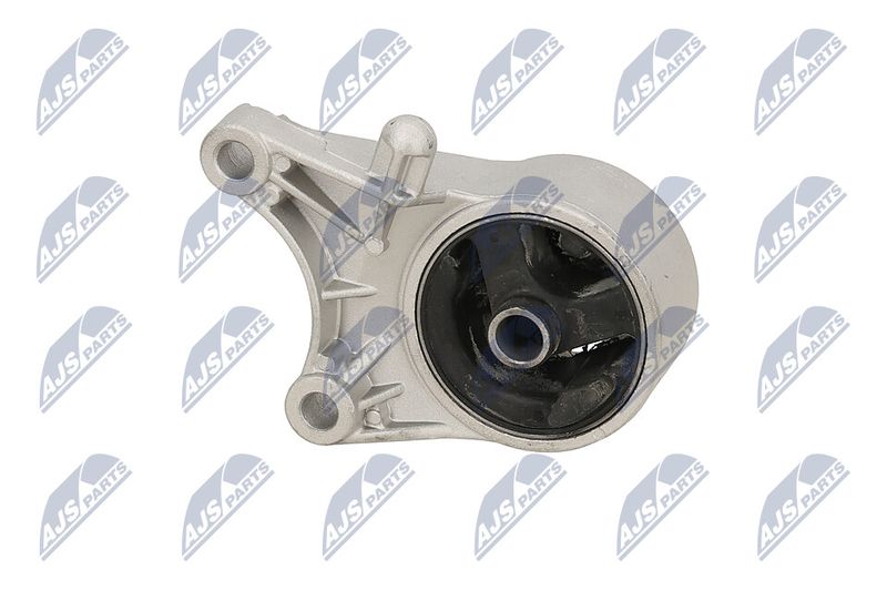 Paigutus, Mootor, NTY ZPS-PL-093