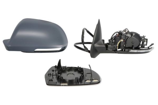 BLIC 5402-43-1312310P Exterior Mirror