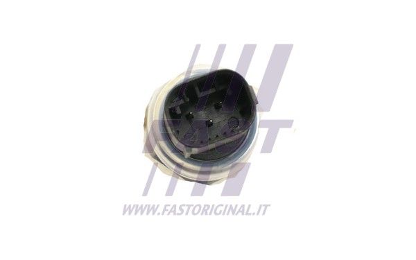 FT54309_3_1.JPG