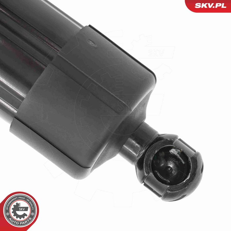 ESEN SKV 52SKV188 Electric Motor, tailgate