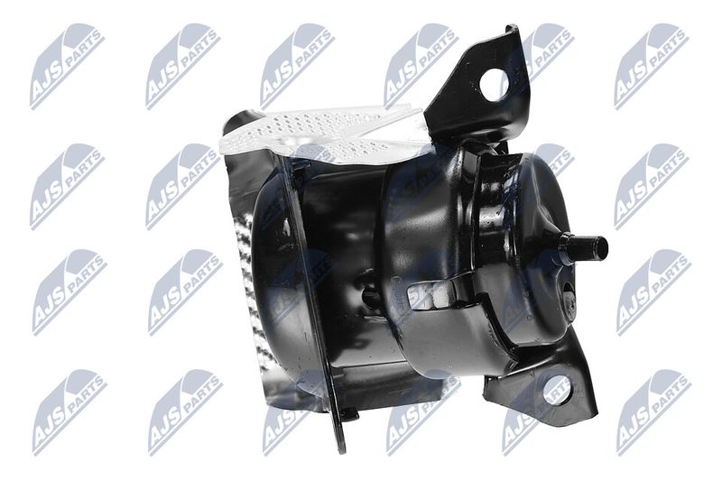 Paigutus, Mootor, NTY ZPS-CH-150