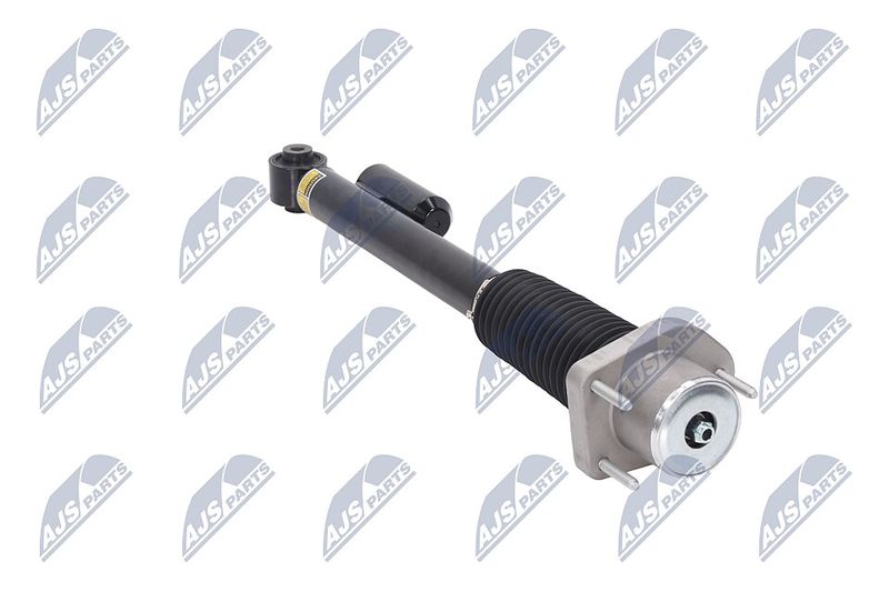 Amort, NTY A-LR-020