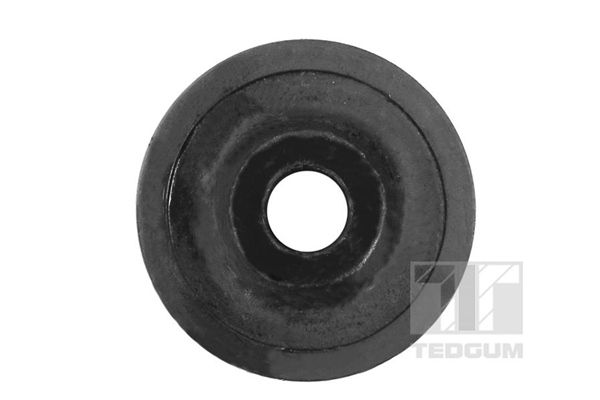 TEDGUM 00118113 Mounting, control/trailing arm