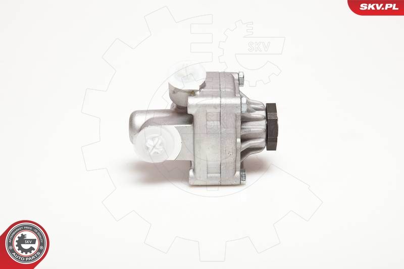 ESEN SKV 10SKV017 Hydraulic Pump, steering