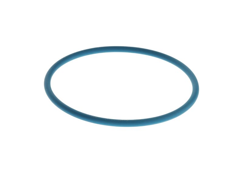 Inel cauciuc F 00N 204 925 BOSCH